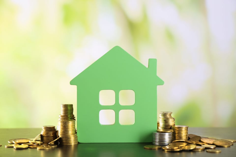 Casa verde, Monedas de oro, Vivienda, Ventanas, MundoNow