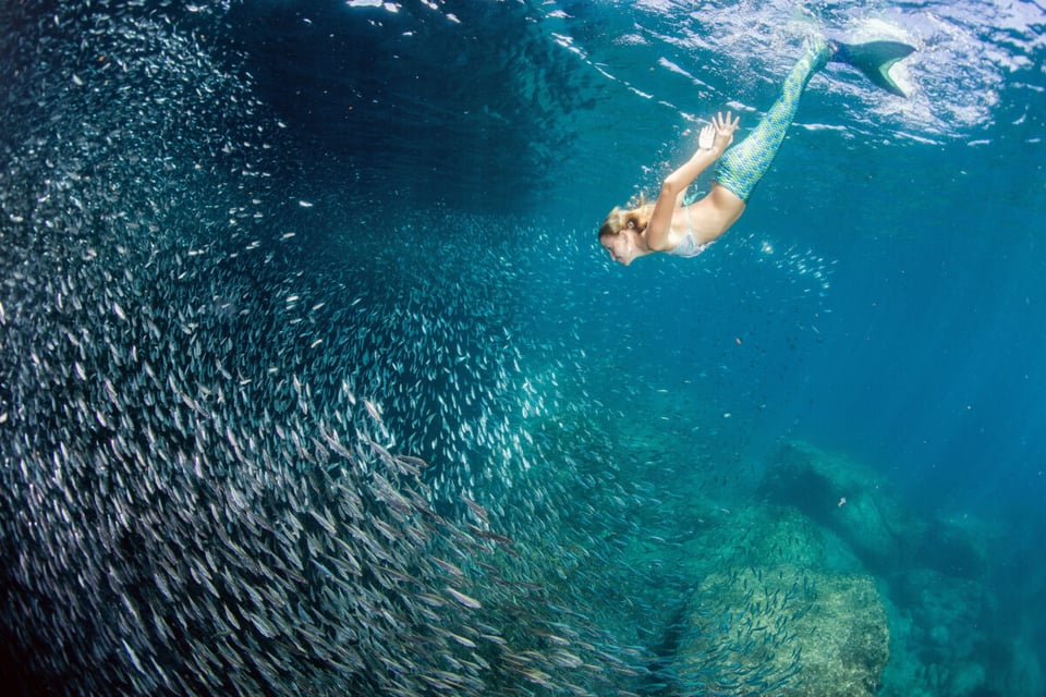 Sirena, Peces, Sol, Criatura, Mar, Madre, Podcast