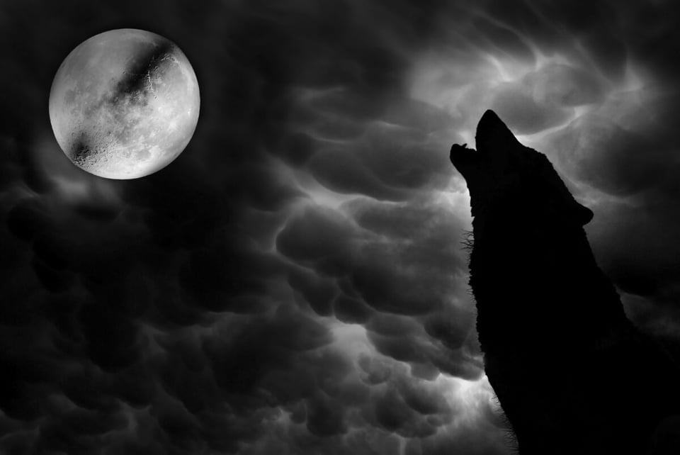 Wolf, Clouds, Black and white, MundoNow, Podcast