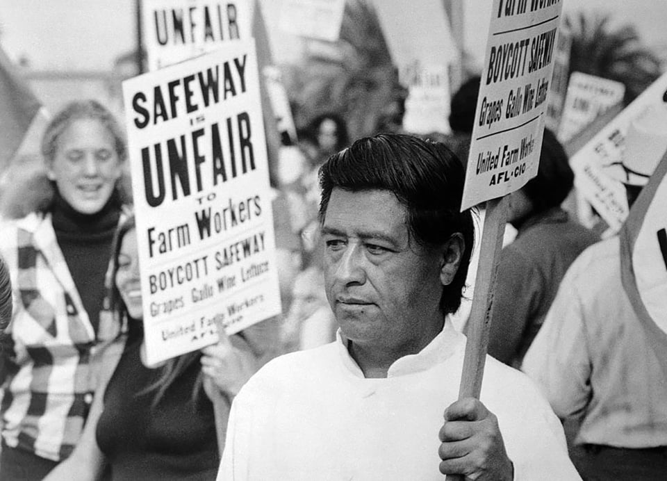 labor laws, farmers, USA, history, strike