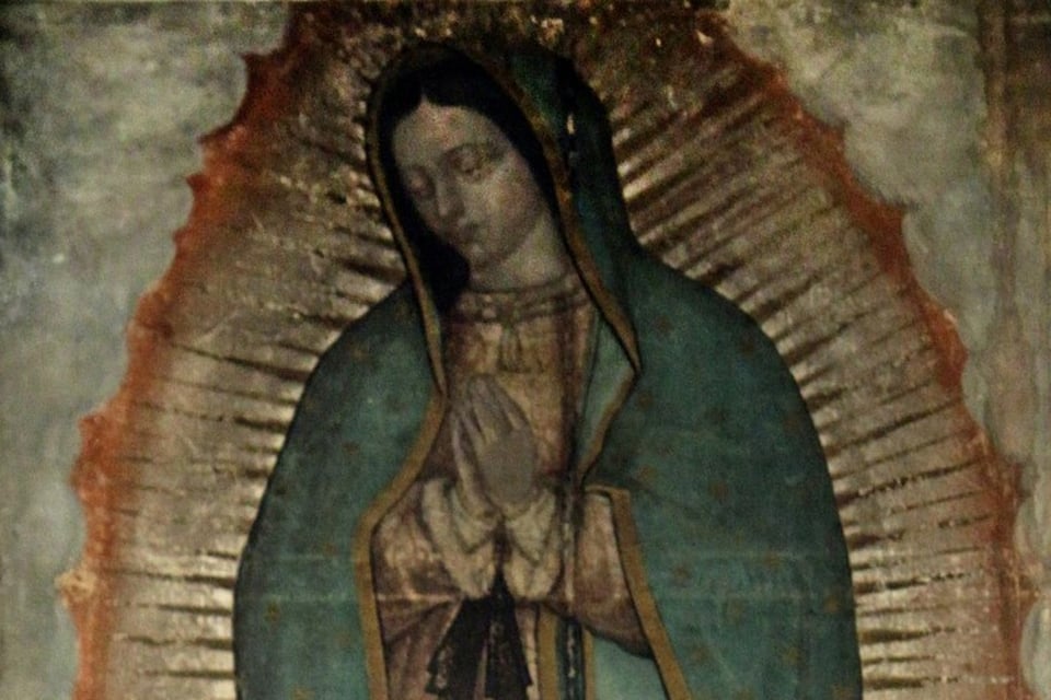 Juan Diego, Fray Juan de Zumárraga, familia, Milagro de las rosas, MundoNOW