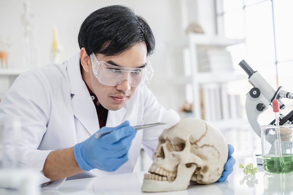 What is an autopsy, scientist, laboratory, skull