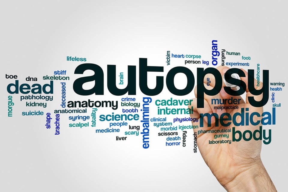 Autopsy, word cloud, concept