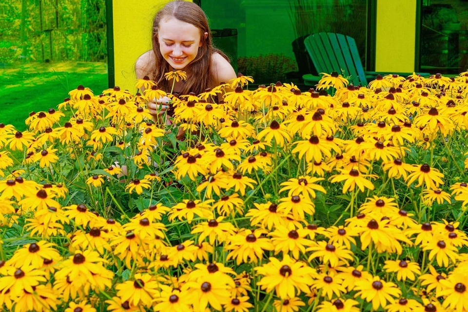 Niña, Susan de ojos negros flores, jardín, girasoles, MundoNOW