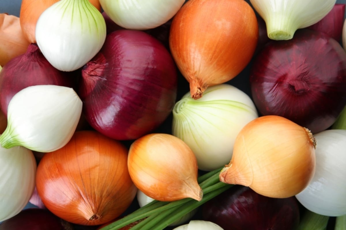 Recall of onions sold at Publix and Wegmans