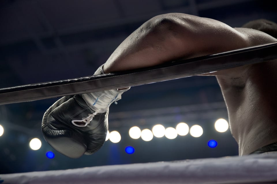 rest, ring, fight, champion, WBO. MundoNOW