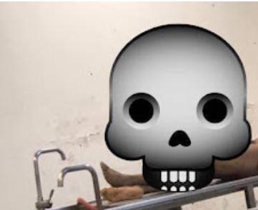 The cartels' trail of terror