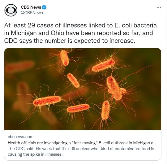 What are the symptoms of the disease?