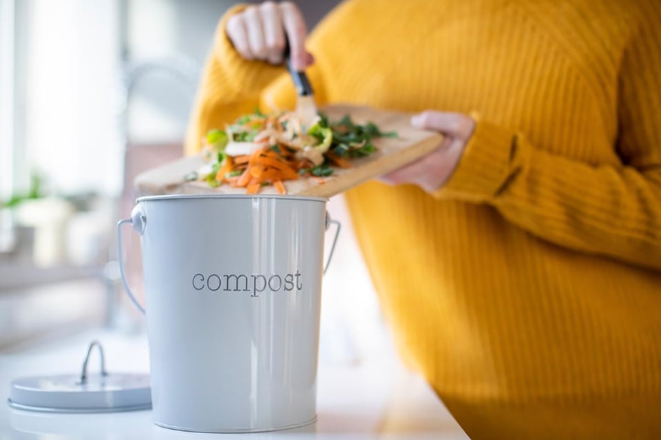 Woman, composting, Vegetables, Leftovers, Kitchen