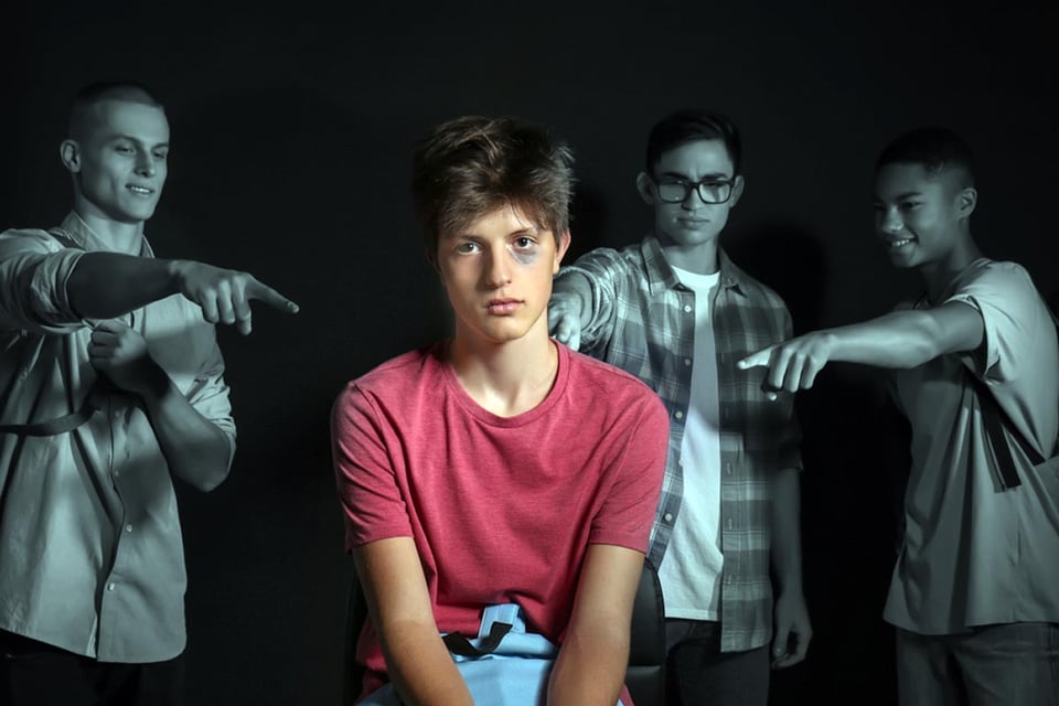 teenager, harassed, school.