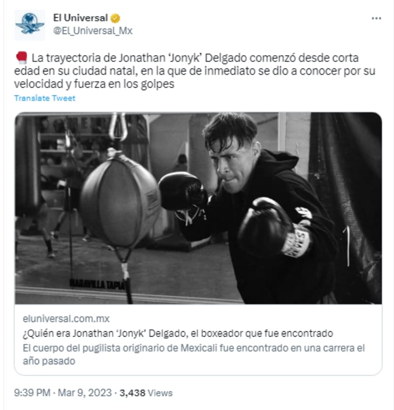 Su carrera como pugilista