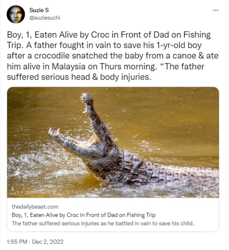 Crocodile devours a one-year-old boy