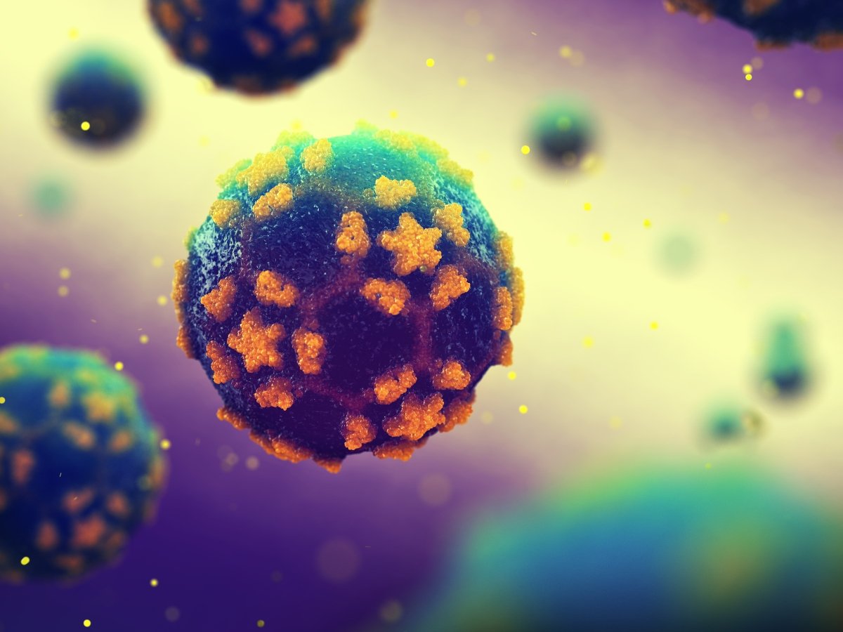 ¿Qué es la polio y por qué está de vuelta?