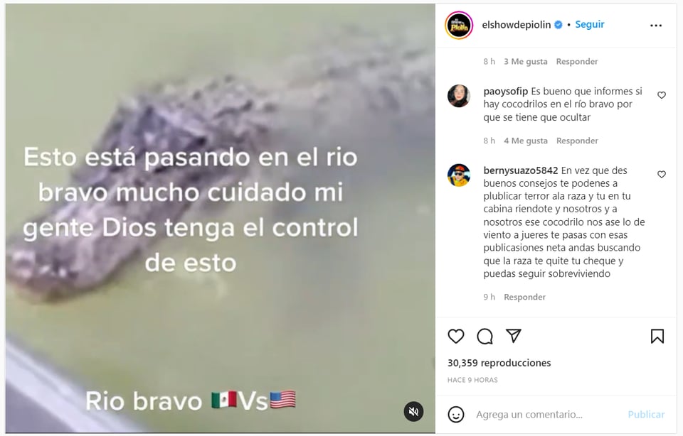 Border Patrol Crocodile