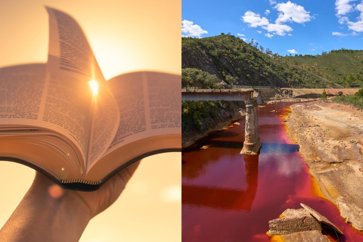 ¿Apocalipsis? El Río Nilo se pinta de color rojo y éste es el significado bíblico