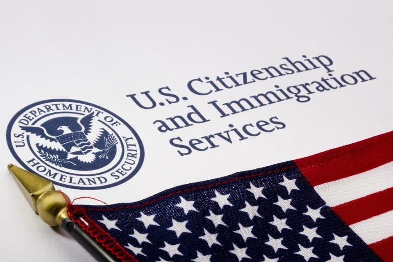 How can I check my immigration status?