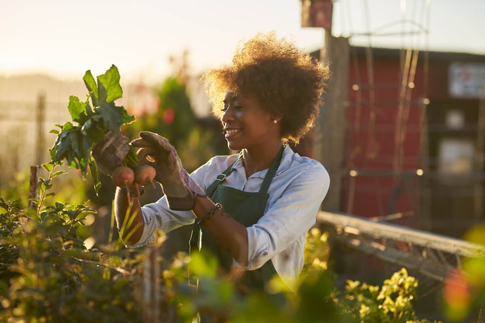 growing your own food, plants, woman, garden, balcony, home