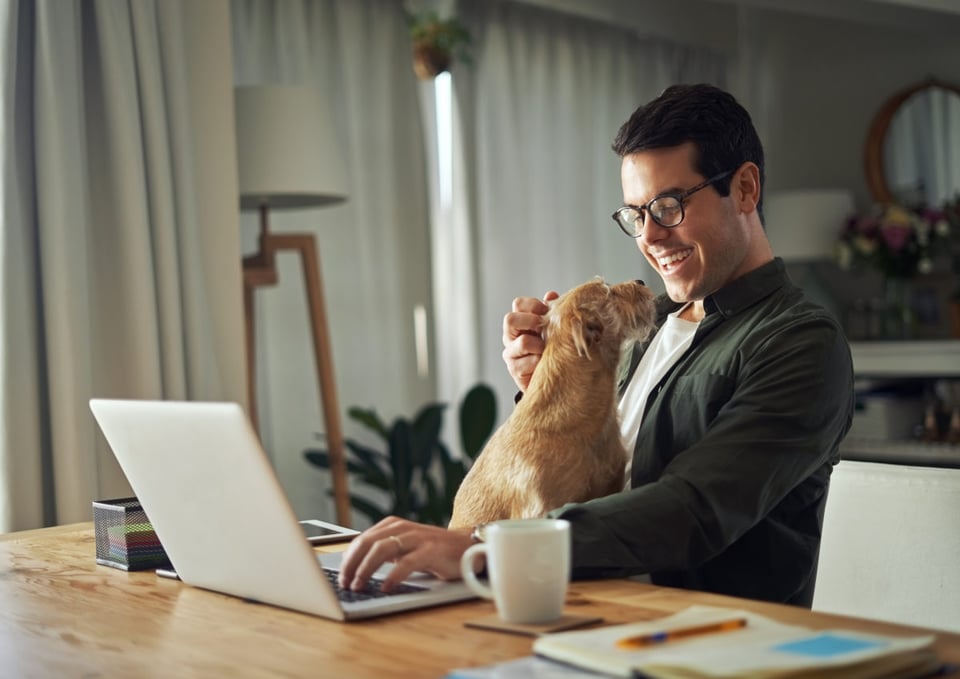 hombre, gato, feliz, laptop, MundoNOW