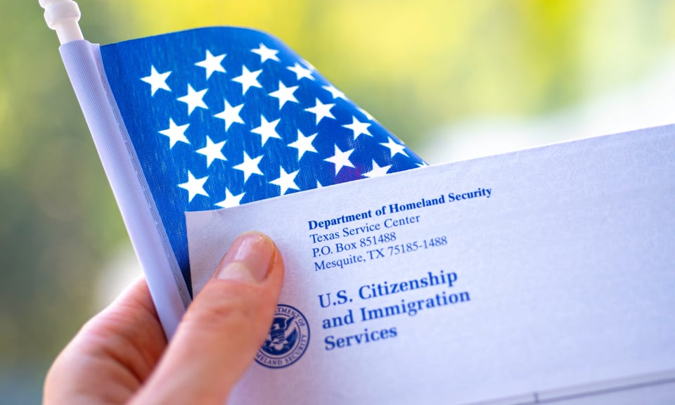 How to check my immigration status?