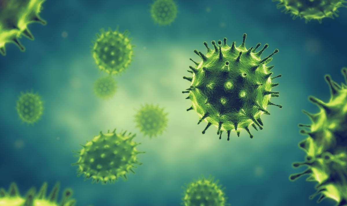 China suena las alarmas tras detectar 35 casos del nuevo y peligroso virus Langya