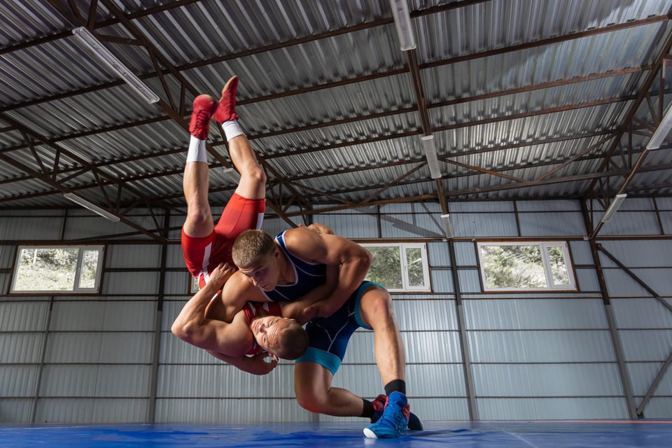 lucha deportiva