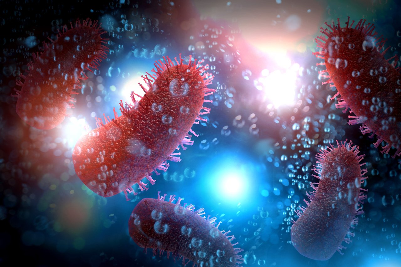 Síntomas y prevención del norovirus , enfermedad, salud- Norovirus, symptoms, disease, health, MundoNOW