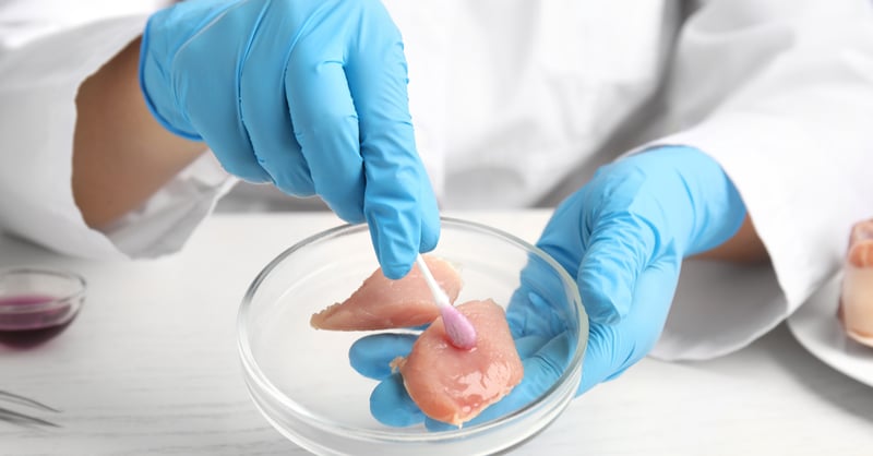 Scientist analyzing meat sample for possible listeria