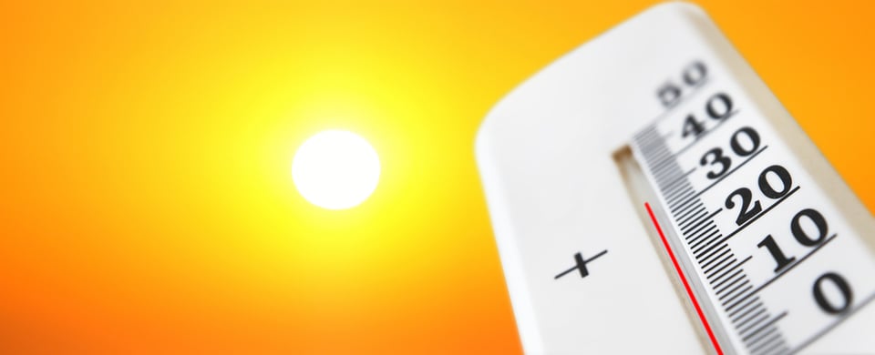La ola de calor extrema afecta a millones