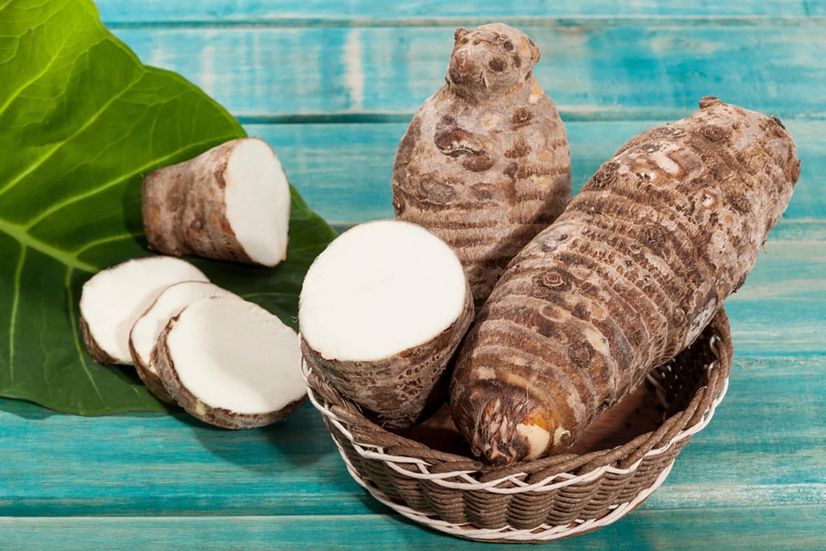 Crema de ñame silvestre, ñame, tubérculo, hortaliza, salud de la mujer, MundoNOW / yams, tuber, vegetable, women's health, MundoNOW
