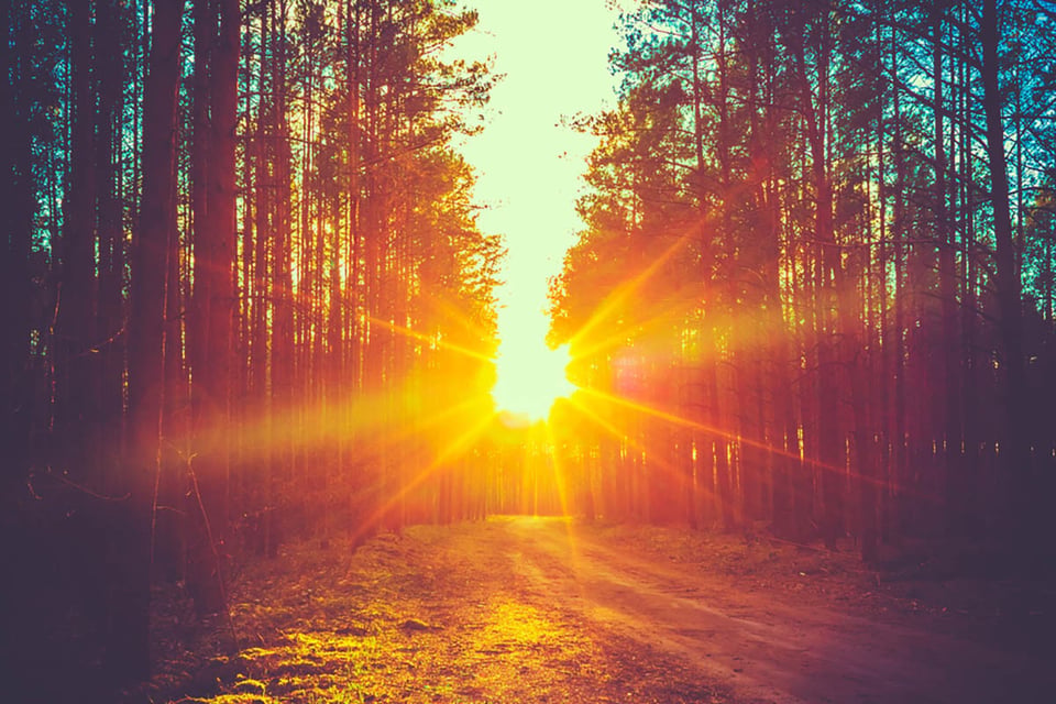 rutina matutina energizante, amanecer, bosque, sol, mundonow
