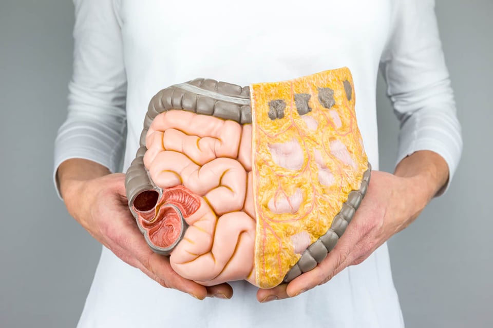 treatments, targeted therapies, immunotherapies, disease, health