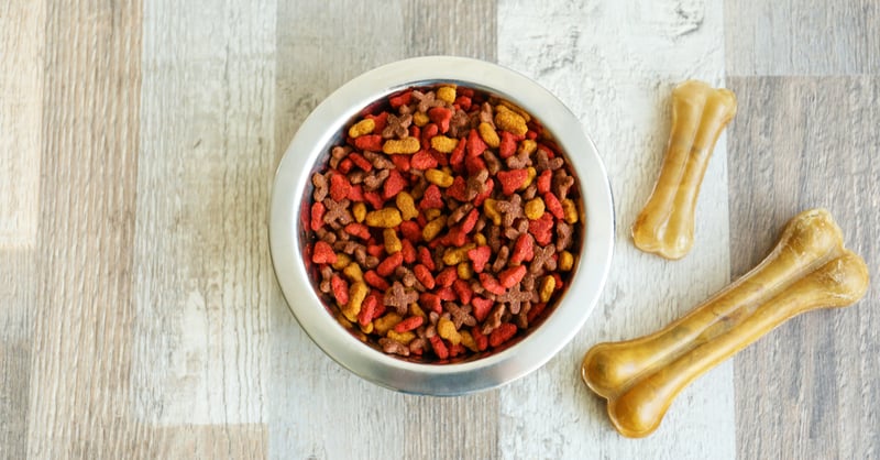 Alimento para can que pudo haberse comprado en Dollar T