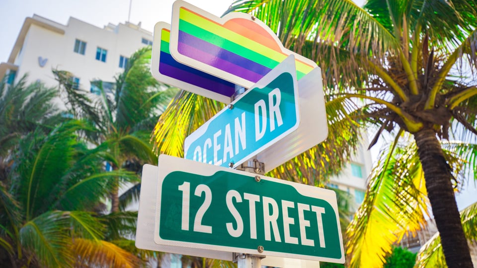 Florida, appeal, injuction, drag queen, law