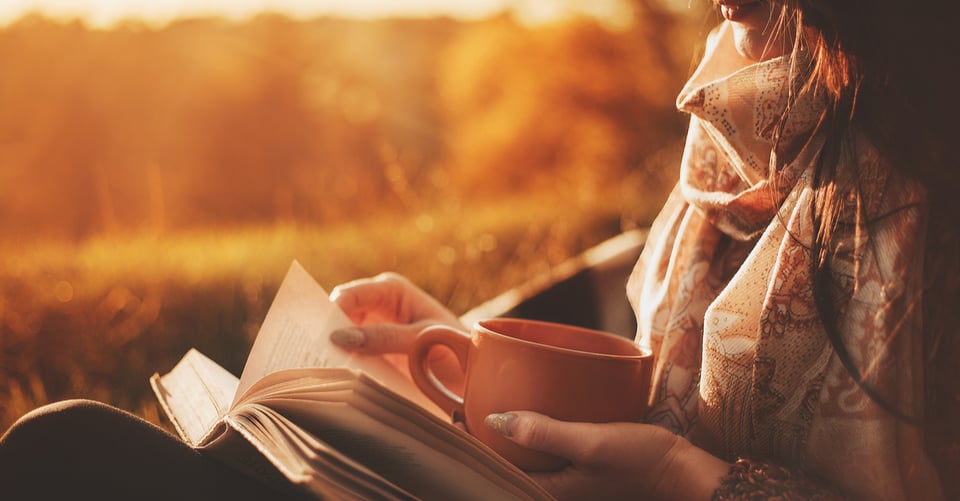A person reading a book