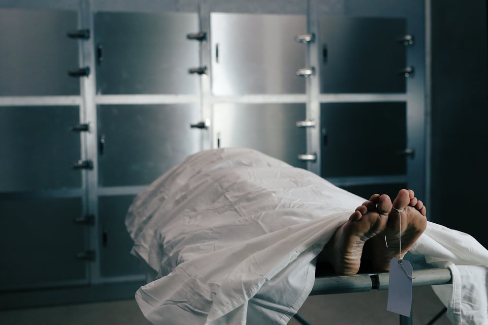 The autopsy of Claudia Ochoa The autopsy of Claudia Ochoa
