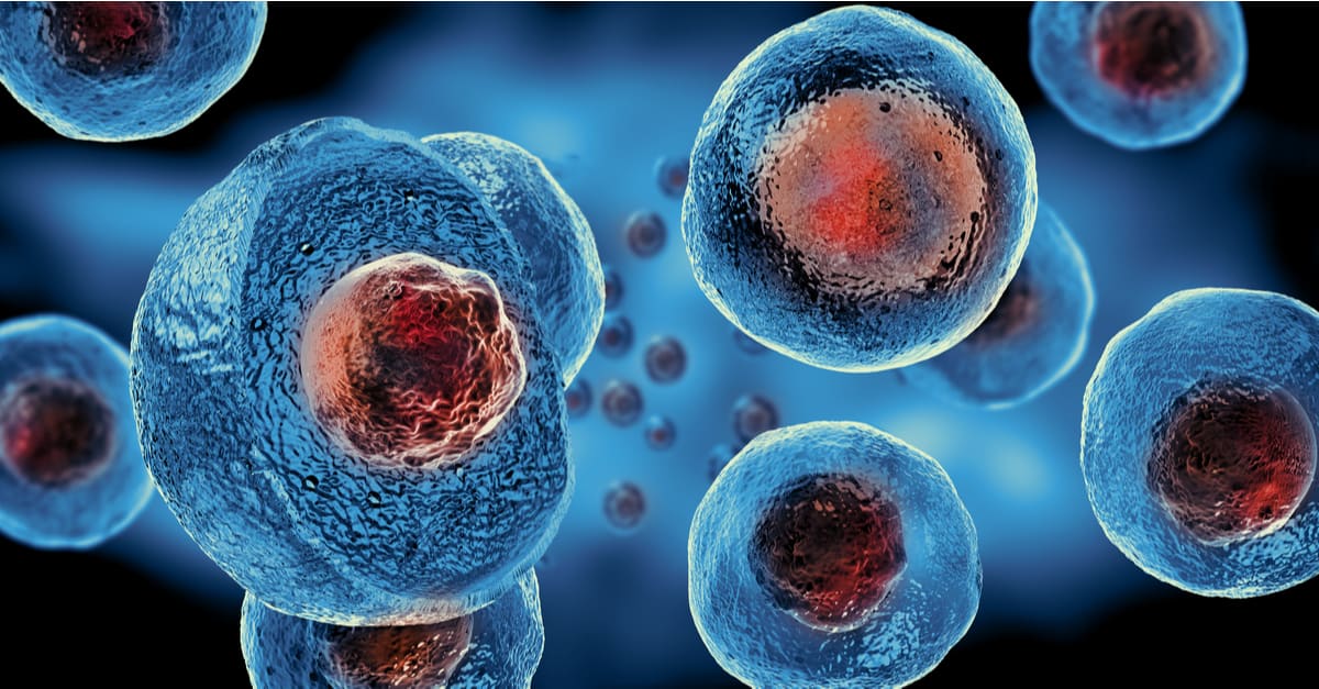 What is cancer? The 5 different types that kill