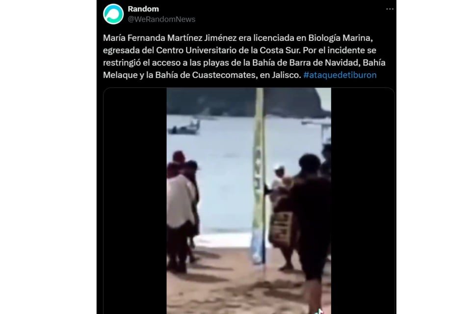 Marine biologist, Child witness, Coastal community, Solidarity, Safety at sea, MundoNOW