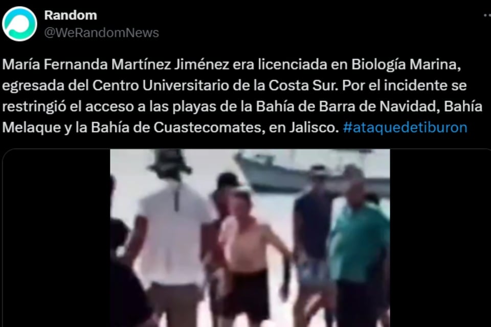 Marine research, Shocking video, Anonymous hero, Irreparable loss, MundoNOW