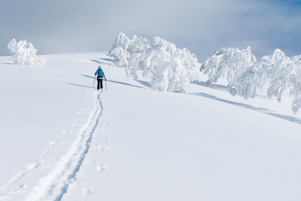 Niseko, Japan, trekking, skiing, woman