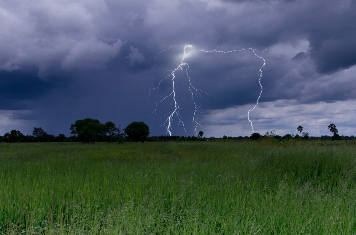 Poderosa tormenta en EEUU deja a millones sin luz y reportan saldo mortal